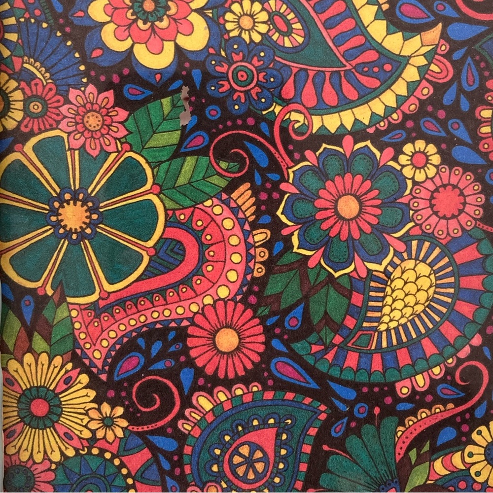 LAST CHANCE! Framed OOAK Paisley and Floral pattern hand-colored ink artwork. - Picture 8 of 11